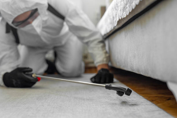 Professional Bed Bug Control technician working in West Menlo Park, CA