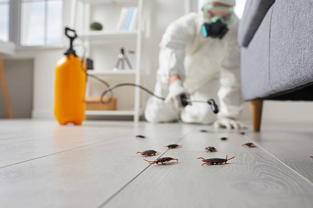 Trusted Termite Control service in West Menlo Park, CA - Nex Pest Control