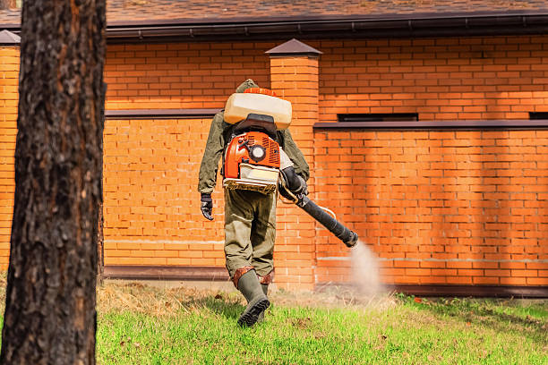 Trusted Cockroach Control service in West Menlo Park, CA - Nex Pest Control
